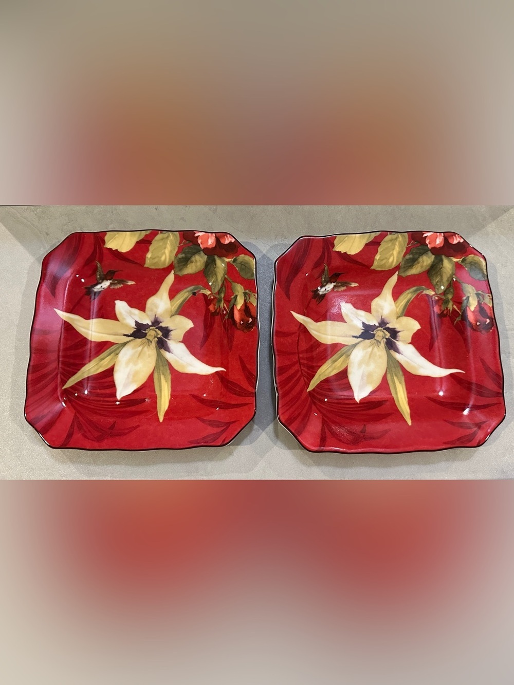 222 Fifth Belize Fine China Set Of 2 Square 8.5” Plates Hummingbird Red Orchid
